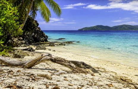 Un participant de Survivor partage une nouvelle bouleversante sur sa sant&eacute;