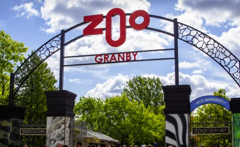 Le Zoo de Granby surprend tout le monde avec une annonce inattendue
