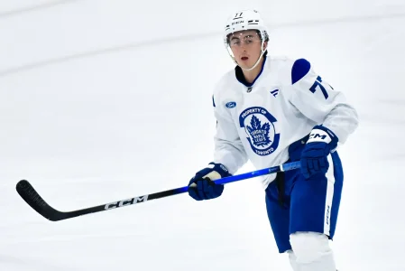A quiet Marlies playoff hero could be Toronto's cheap bottom-six answer