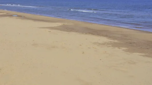 Une &eacute;mission de t&eacute;l&eacute;r&eacute;alit&eacute; populaire secou&eacute;e par un d&eacute;c&egrave;s durant le tournage