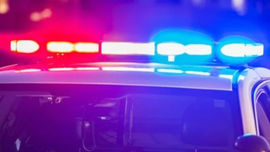 Une sortie entre adolescents tourne au cauchemar apr&egrave;s une attaque d'ours