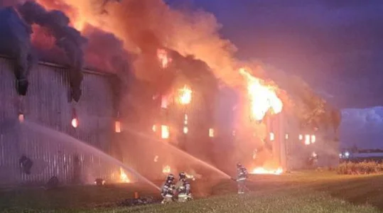 Incendie majeur au Qu&eacute;bec : des dizaines de milliers d'animaux p&eacute;rissent