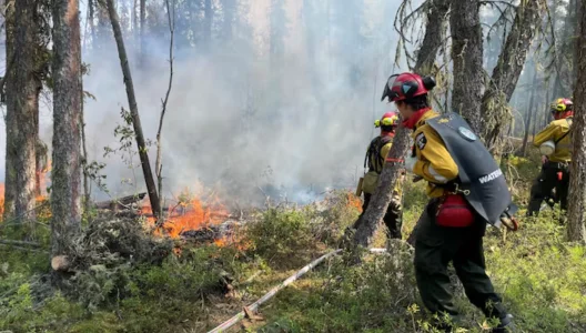 Le danger est jug&eacute; extr&ecirc;me, les feux de for&ecirc;t inqui&egrave;tent au Qu&eacute;bec