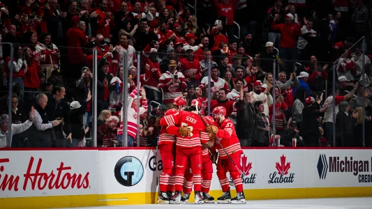 One team poking around and could offer sheet Detroit Red Wings' star defenseman
