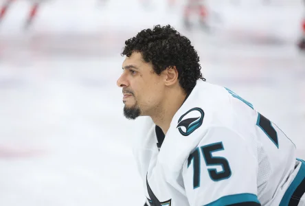 Unrestricted free agent Ryan Reaves sends a message to all NHL teams