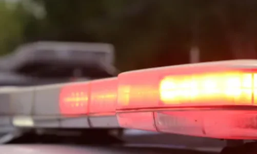 Une sortie en camping vire au cauchemar