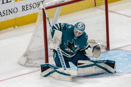 A former NHL starter is available and Toronto has room for one more camp audition