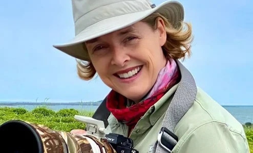 Une annonce de Sophie Thibault retient l'attention