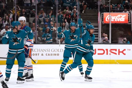 Veteran standout NHL defenseman retires after over 700 games and 12 seasons
