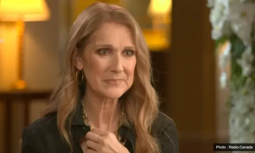 Céline Dion se fait fortement critiquer par un journaliste Céline Dion se fait fortement critiquer par un journaliste