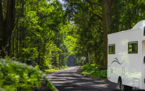 Un ph&eacute;nom&egrave;ne inqui&eacute;tant dans de nombreux campings au Qu&eacute;bec
