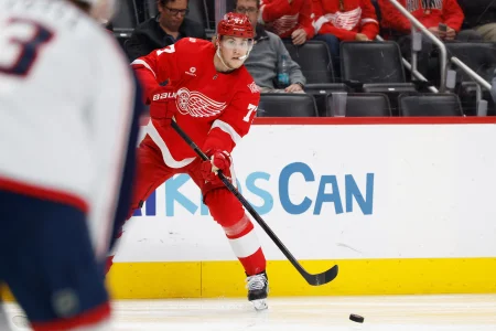 Simon Edvinsson makes a decision involving the Detroit Red Wings
