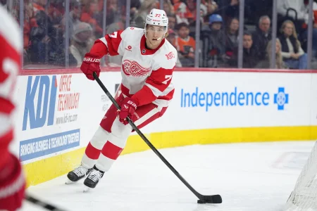 Simon Edvinsson changes location, but Red Wings deal remains in limbo
