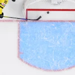 Jan 5, 2026; St. Paul, Minnesota, USA; Sweden forward Ivar Stenberg (15) scores an empty-net goal against Czechia during the third period in the final of the 2026 IIHF World Junior Championship ice hockey tournament at Grand Casino Arena. Mandatory Credit: Nick Wosika-Imagn Images