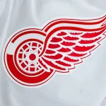 Jan 10, 2026; Montreal, Quebec, CAN; View of a Detroit Red Wings logo on a jersey worn by a member of the team during warm-up before the game against the Montreal Canadiens at Bell Centre.