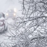 Voici quand la neige pourrait arriver au Québec