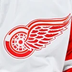 Apr 4, 2023; Montreal, Quebec, CAN; View of a Detroit Red Wings logo on a jersey worn by a member of the team against the Montreal Canadiens during the third period at Bell Centre. Mandatory Credit: David Kirouac-USA TODAY Sports