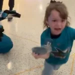 Young Sharks fan scared by S.J. Sharkie