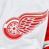 Red Wings sign solid player to extension in surprising move