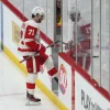 Dylan Larkin adds two more teams to his trade list, but one major detail stands out