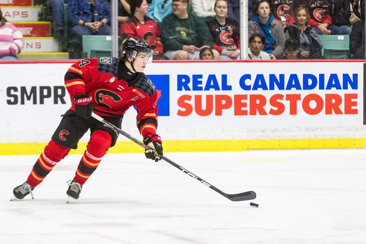 Carson Carels stats hockey