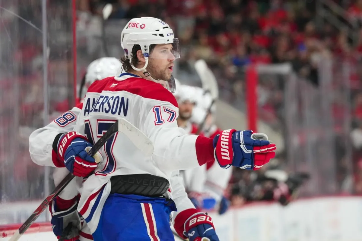 Josh Anderson stats hockey