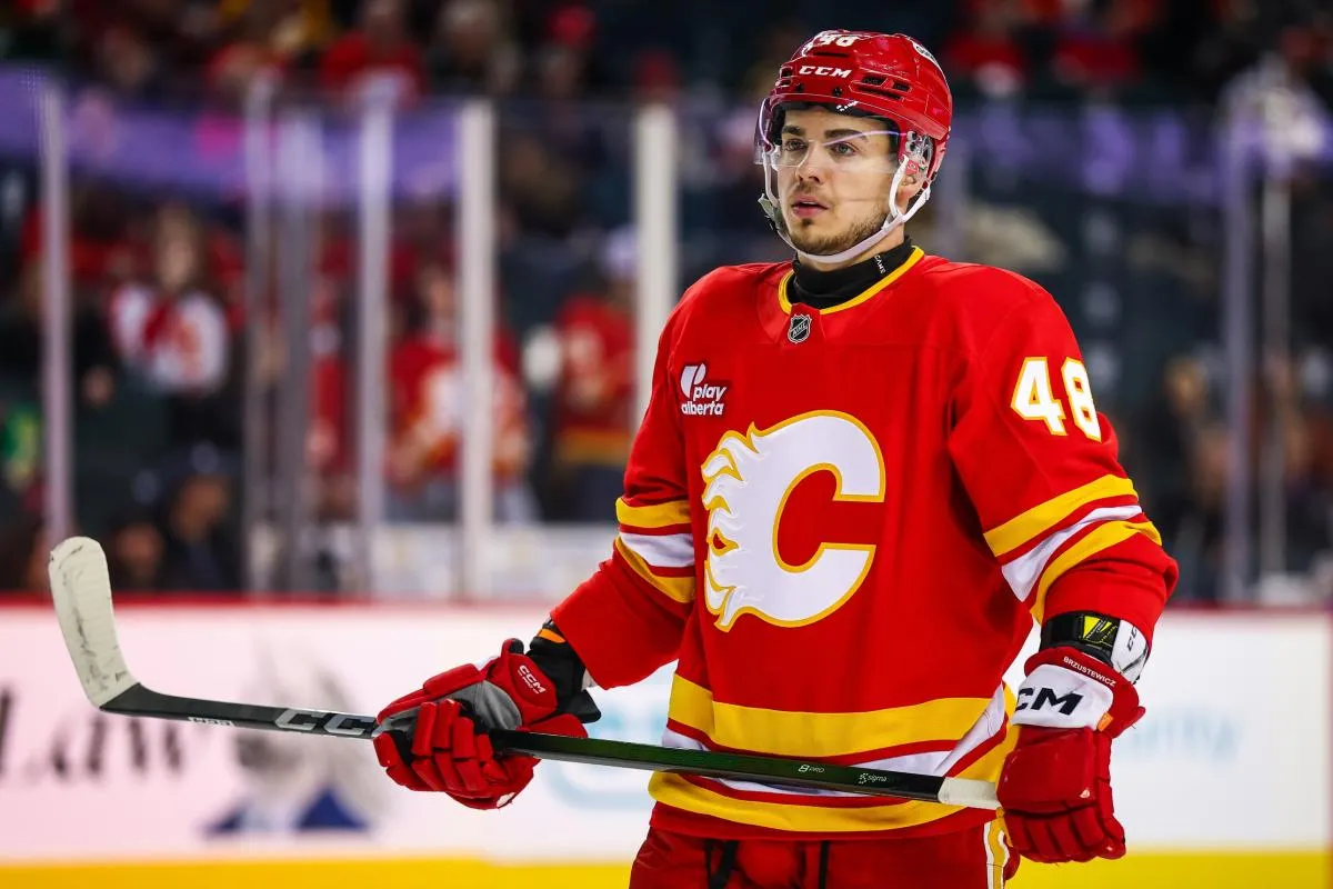 Hunter Brzustewicz stats hockey