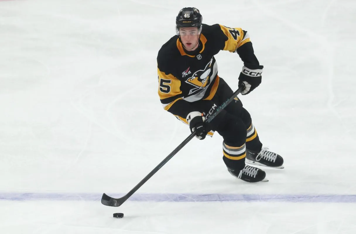 Harrison Brunicke stats hockey Harrison Brunicke stats hockey